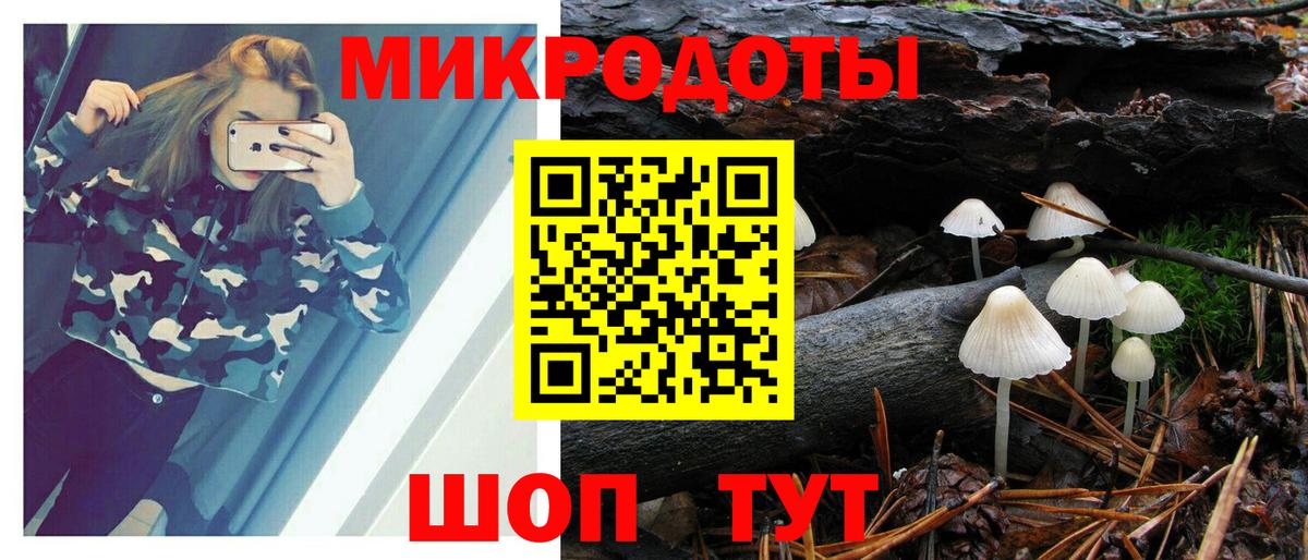 Галлюциногенные грибы Psilocybine cubensis  Вход с VPN  Чебаркуль 